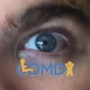 Meet your Posher, Dylan